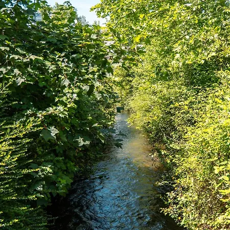 L'apais'han Rochefort